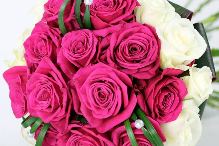 same day flowers delivery brampton