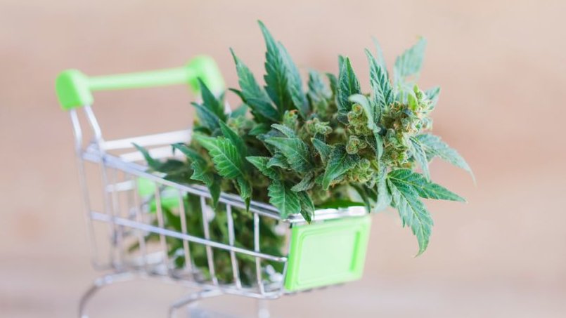 buy weed online Canada